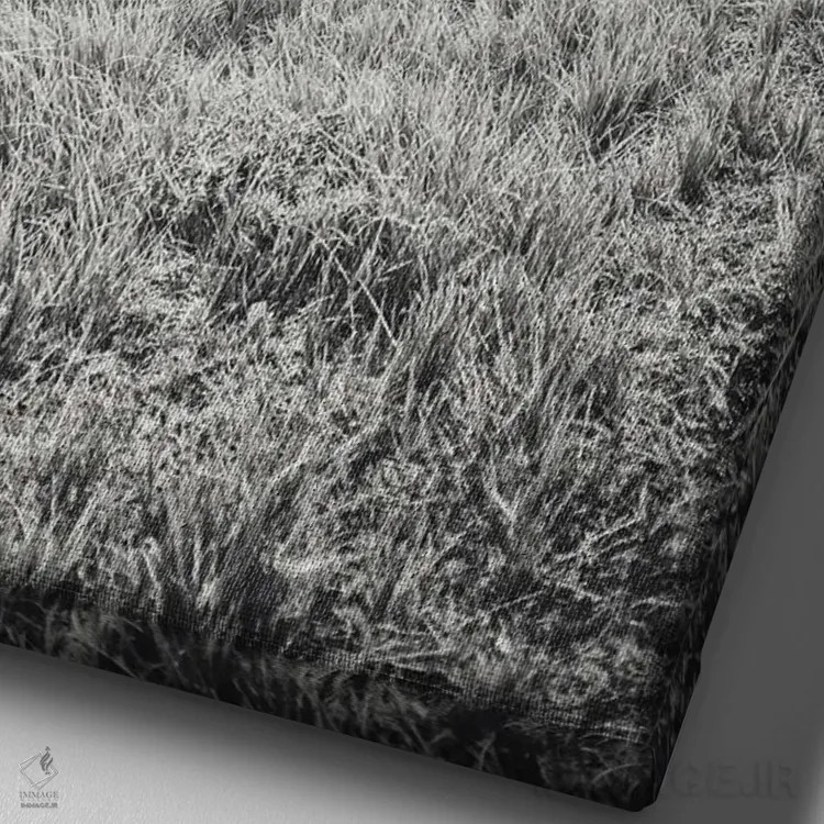 تابلو تبت کوچک XXIII اثر آلساندرو پاسرینی - نمای نزدیک بافت بوم