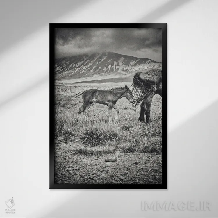 تابلو تبت کوچک XXII اثر آلساندرو پاسرینی - نمای قابدار مشکی