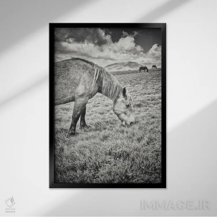 تابلو تبت کوچک XXIII اثر آلساندرو پاسرینی - نمای قابدار مشکی