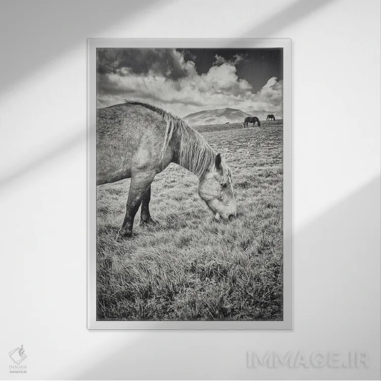 تابلو تبت کوچک XXIII اثر آلساندرو پاسرینی - نمای قابدار سفید