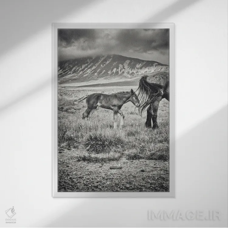 تابلو تبت کوچک XXII اثر آلساندرو پاسرینی - نمای قابدار سفید