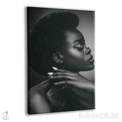 تابلو ملانین تکرنگ II اثر آدنیران آدسانیا - نمای پرسپکتیو محصول