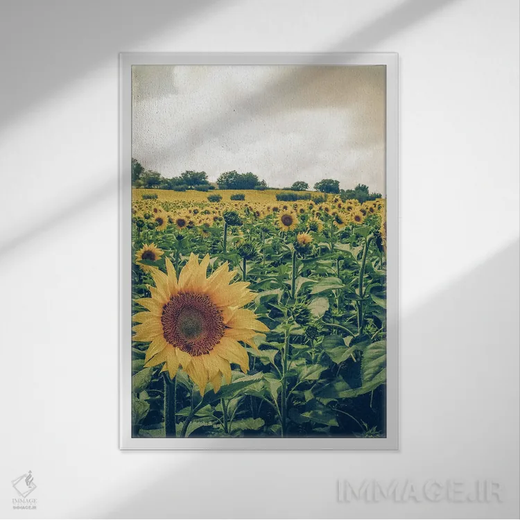 تابلو آبروتزو III (منطقهای در ایتالیا) اثر آلساندرو پاسرینی - نمای قابدار سفید