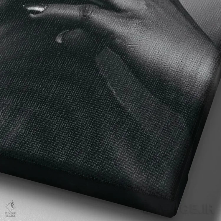 تابلو ملانین تکرنگ II اثر آدنیران آدسانیا - نمای نزدیک بافت بوم