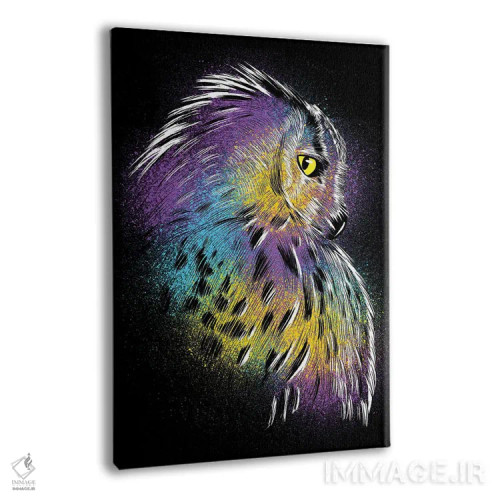 تابلو طرح جغد رنگارنگ اثر آلبرتو پرز - نمای پرسپکتیو محصول