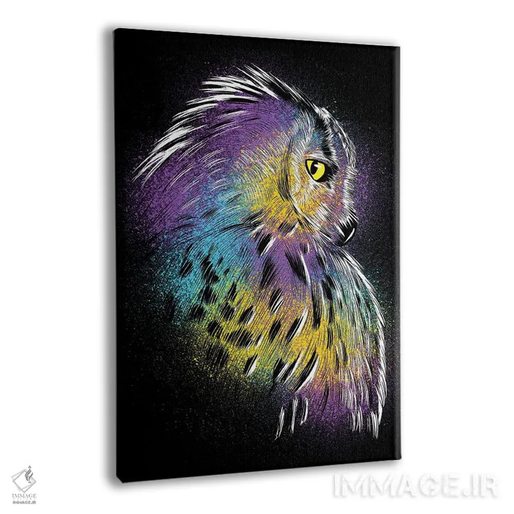 تابلو طرح جغد رنگارنگ اثر آلبرتو پرز - نمای پرسپکتیو محصول