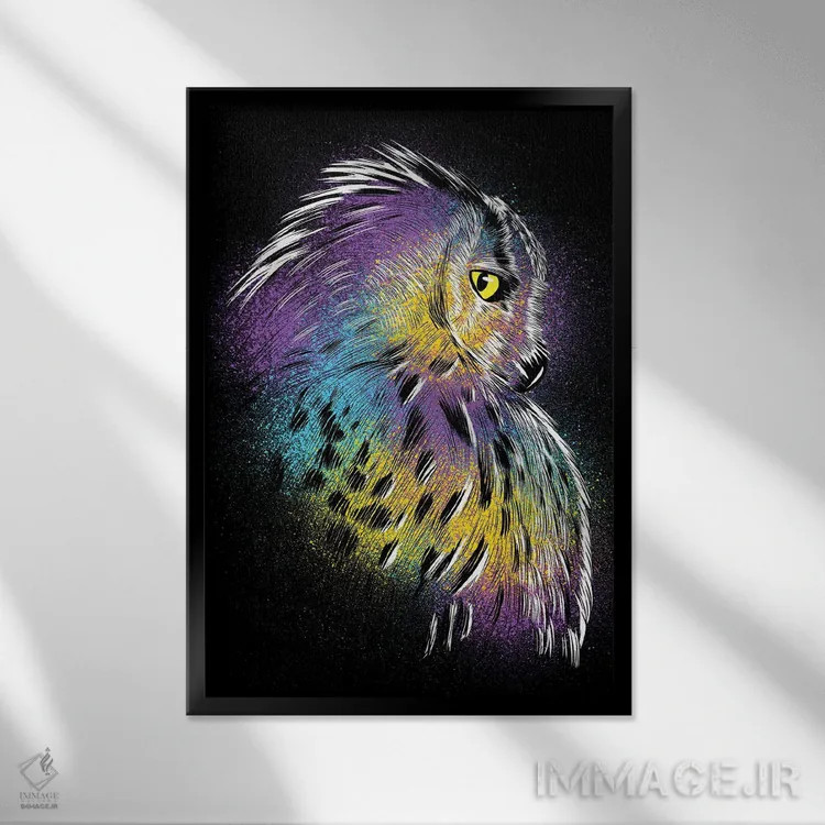 تابلو طرح جغد رنگارنگ اثر آلبرتو پرز - نمای قابدار مشکی