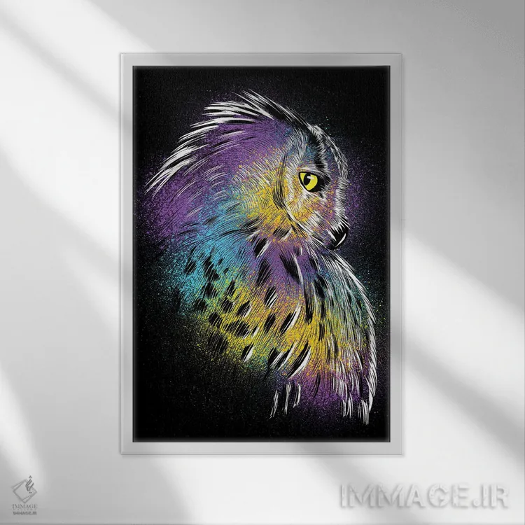 تابلو طرح جغد رنگارنگ اثر آلبرتو پرز - نمای قابدار سفید