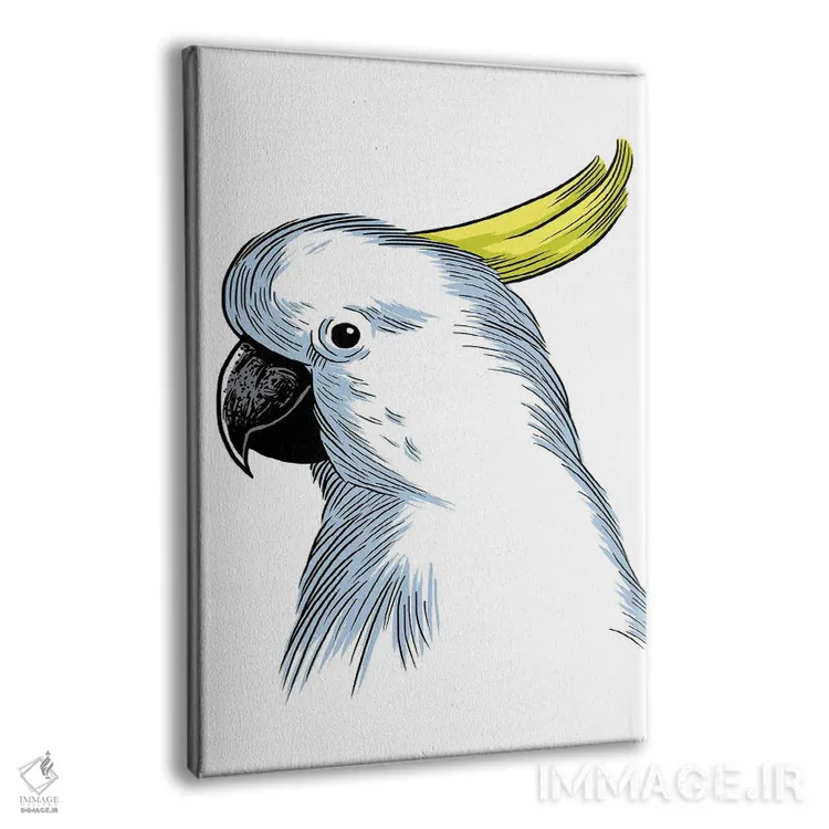 تابلو طرح طوطی اثر آلبرتو پرز - نمای پرسپکتیو محصول