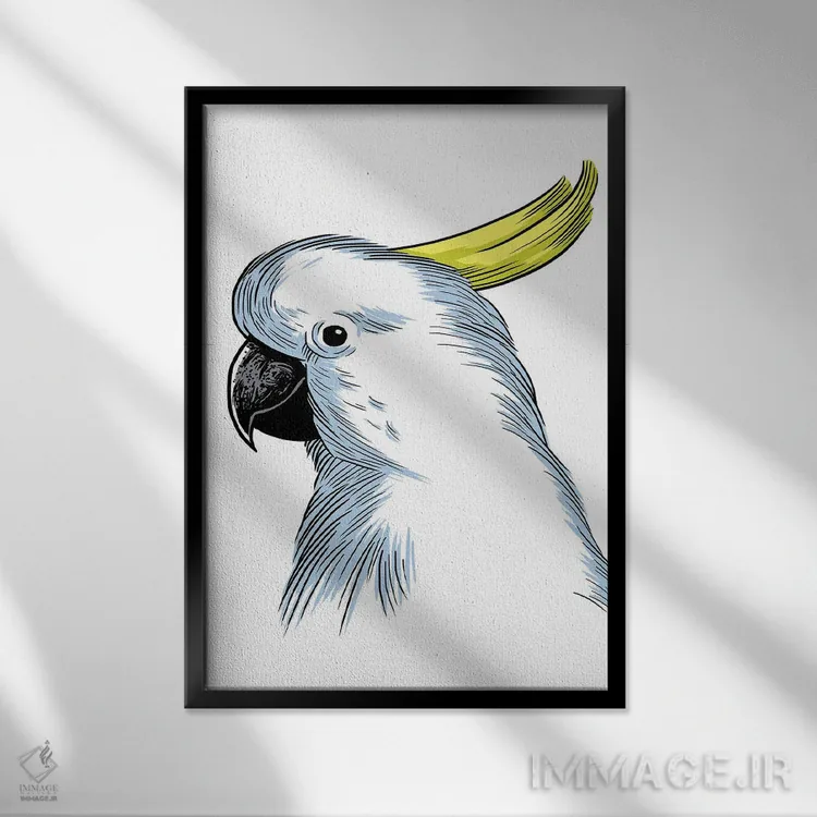 تابلو طرح طوطی اثر آلبرتو پرز - نمای قابدار مشکی