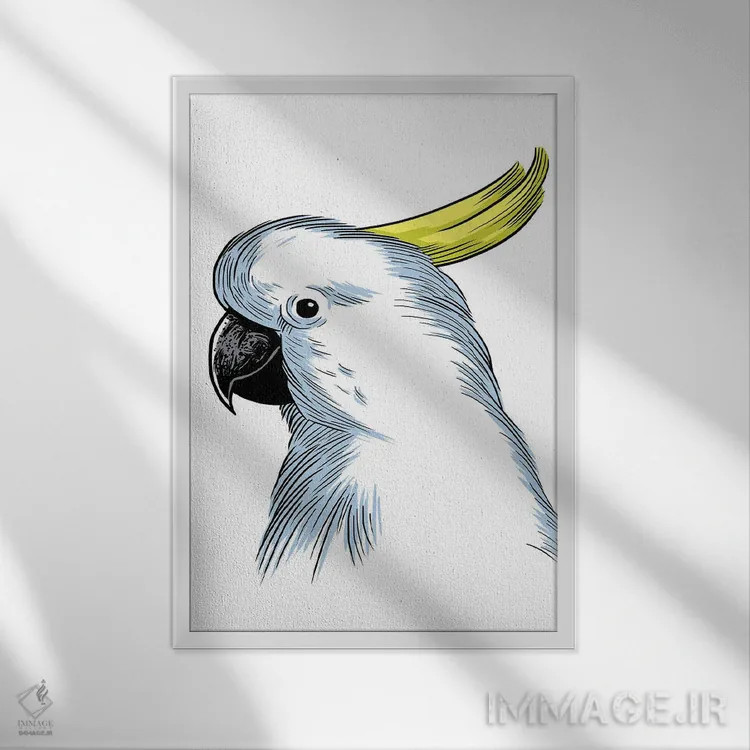 تابلو طرح طوطی اثر آلبرتو پرز - نمای قابدار سفید