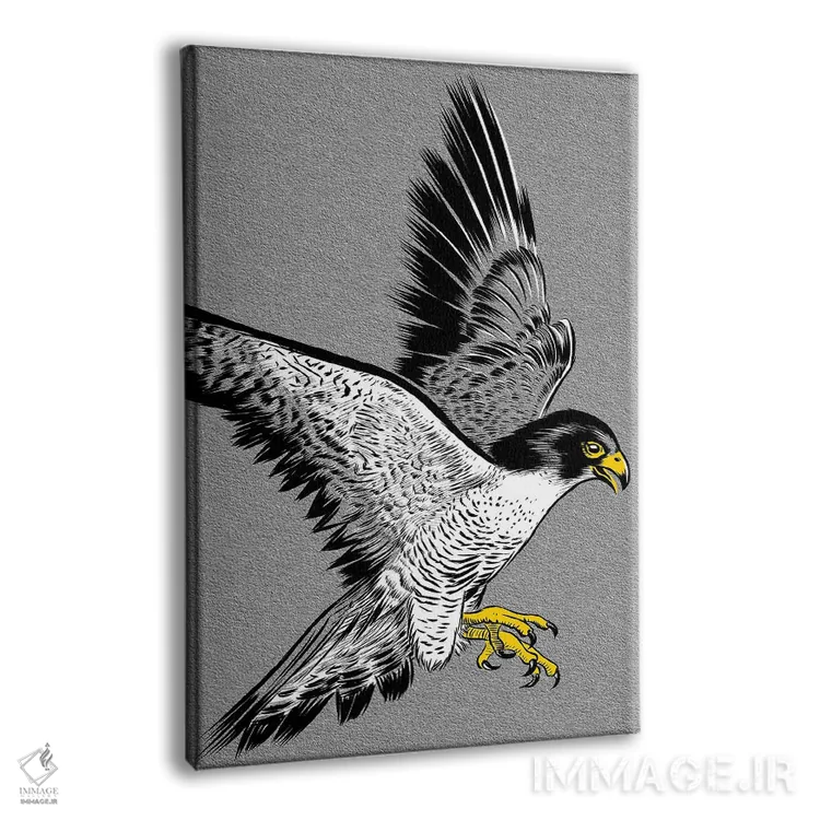 تابلو طرح شاهین اثر آلبرتو پرز - نمای پرسپکتیو محصول