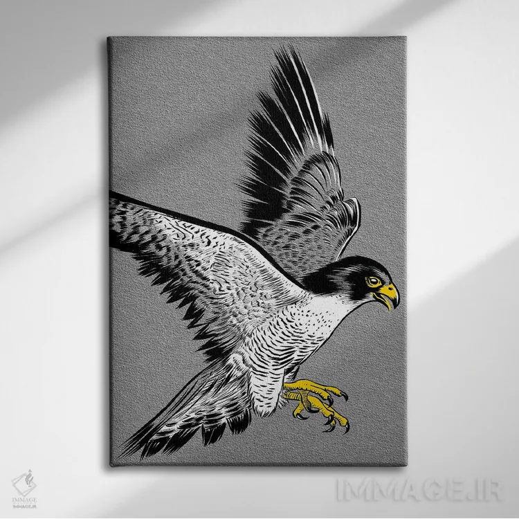 تابلو طرح شاهین اثر آلبرتو پرز - نمای روبهرو روی دیوار