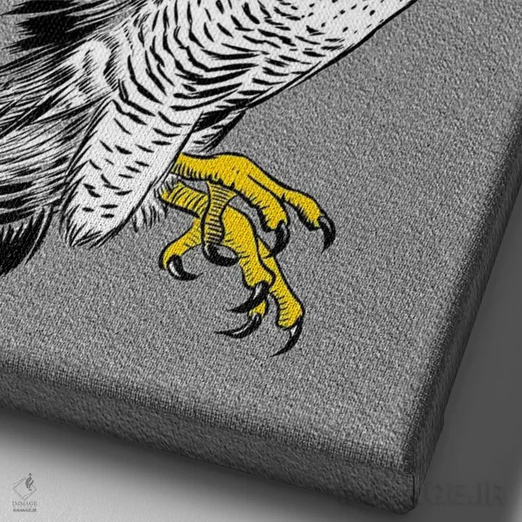 تابلو طرح شاهین اثر آلبرتو پرز - نمای نزدیک بافت بوم