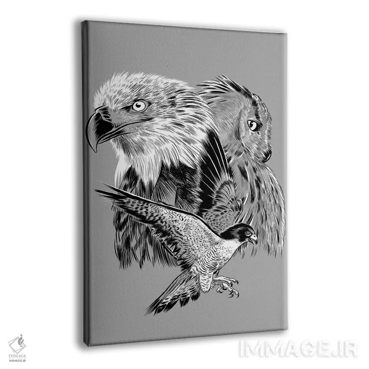 تابلو عقاب، شاهین و جغد اثر آلبرتو پرز - نمای پرسپکتیو محصول