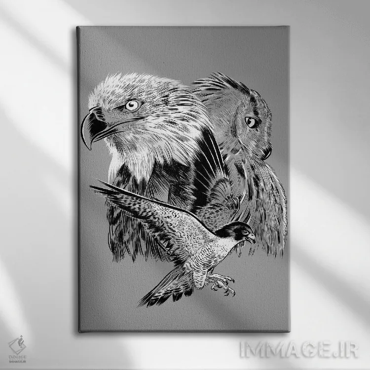 تابلو عقاب، شاهین و جغد اثر آلبرتو پرز - نمای روبهرو روی دیوار