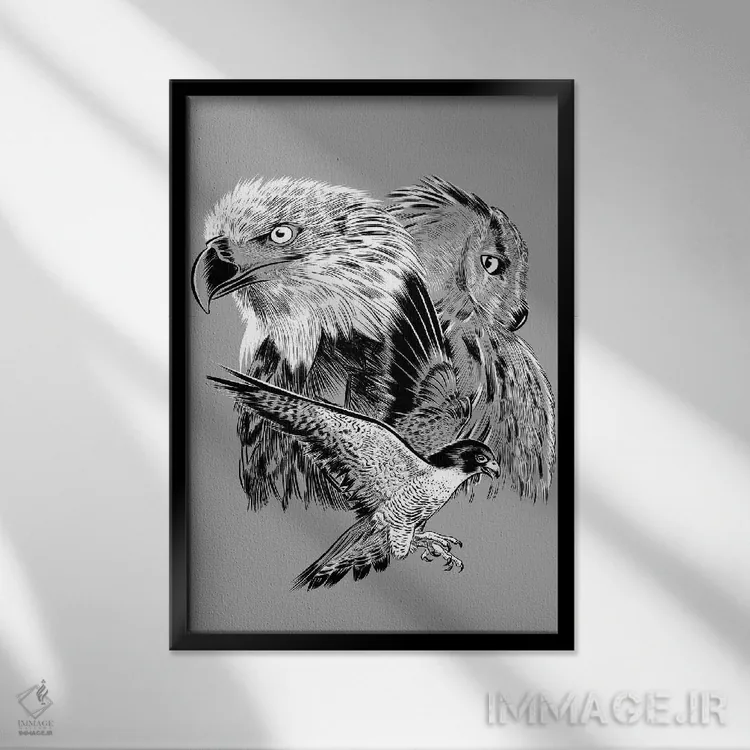 تابلو عقاب، شاهین و جغد اثر آلبرتو پرز - نمای قابدار مشکی