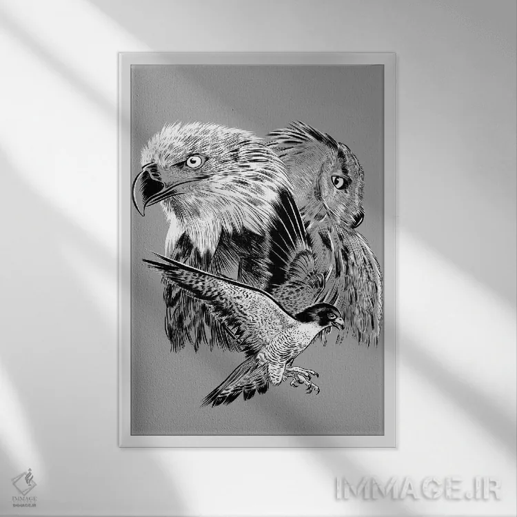 تابلو عقاب، شاهین و جغد اثر آلبرتو پرز - نمای قابدار سفید