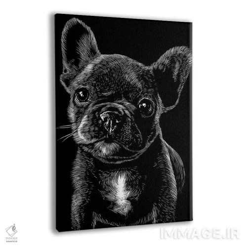 تابلو پاگ در سایهها اثر آلبرتو پرز - نمای پرسپکتیو محصول