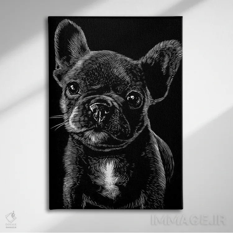 تابلو پاگ در سایهها اثر آلبرتو پرز - نمای روبهرو روی دیوار