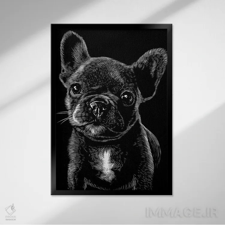 تابلو پاگ در سایهها اثر آلبرتو پرز - نمای قابدار مشکی