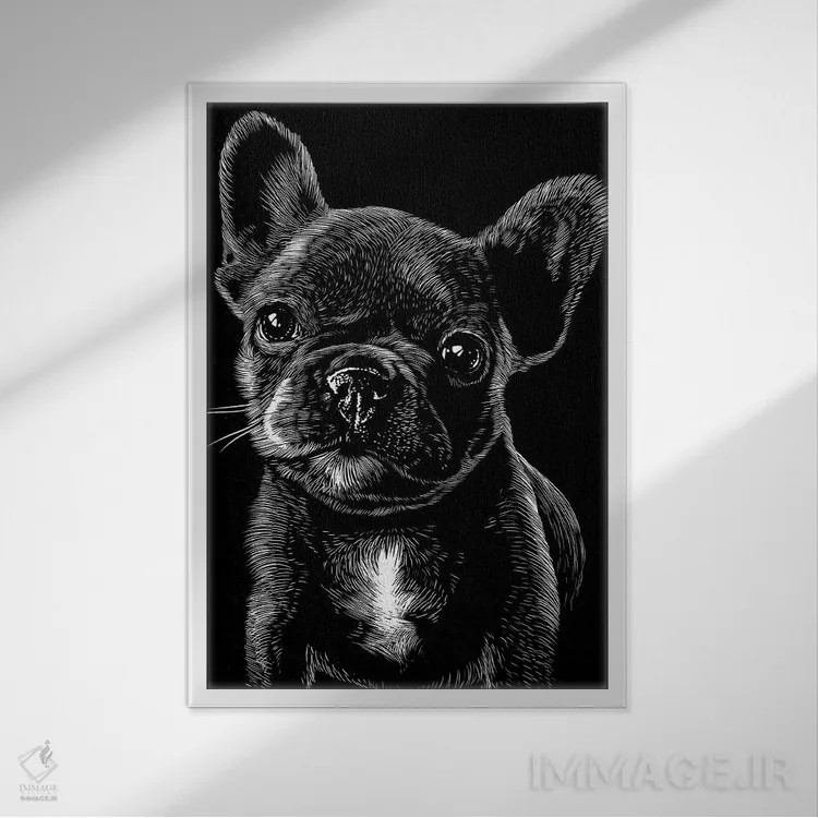 تابلو پاگ در سایهها اثر آلبرتو پرز - نمای قابدار سفید