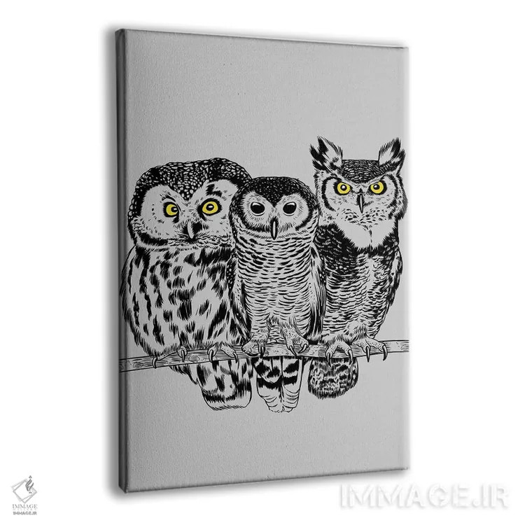 تابلو سه جغد اثر آلبرتو پرز - نمای پرسپکتیو محصول