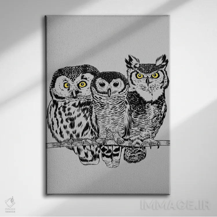 تابلو سه جغد اثر آلبرتو پرز - نمای روبهرو روی دیوار