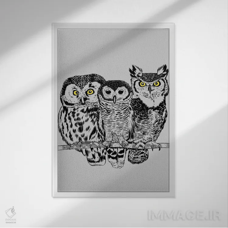 تابلو سه جغد اثر آلبرتو پرز - نمای قابدار سفید