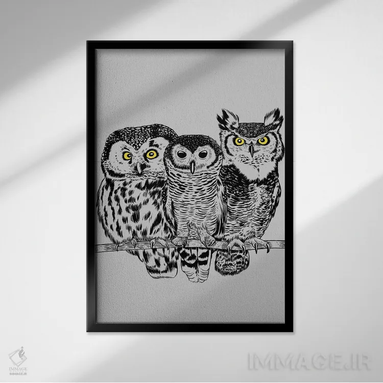 تابلو سه جغد اثر آلبرتو پرز - نمای قابدار مشکی