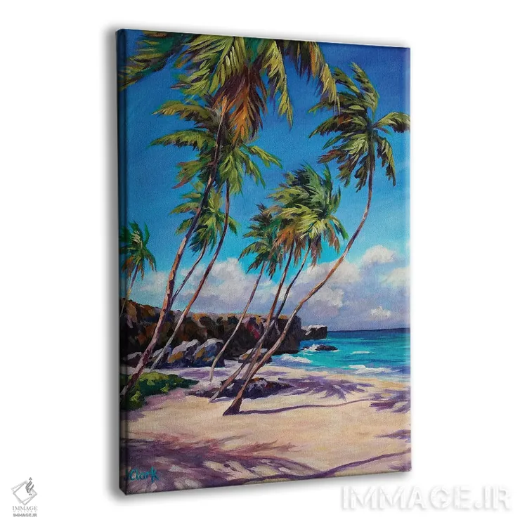 تابلو ساحل باتم بی (باربادوس) اثر جان کلارک - نمای پرسپکتیو محصول