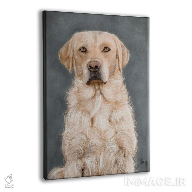 تابلو پرترهٔ لابرادور زرد (سگ) اثر اشلی بردلی - نمای پرسپکتیو محصول