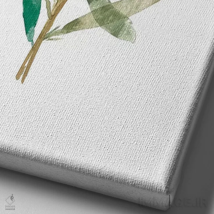 تابلو زیتون III اثر آسیا جنسن - نمای نزدیک بافت بوم