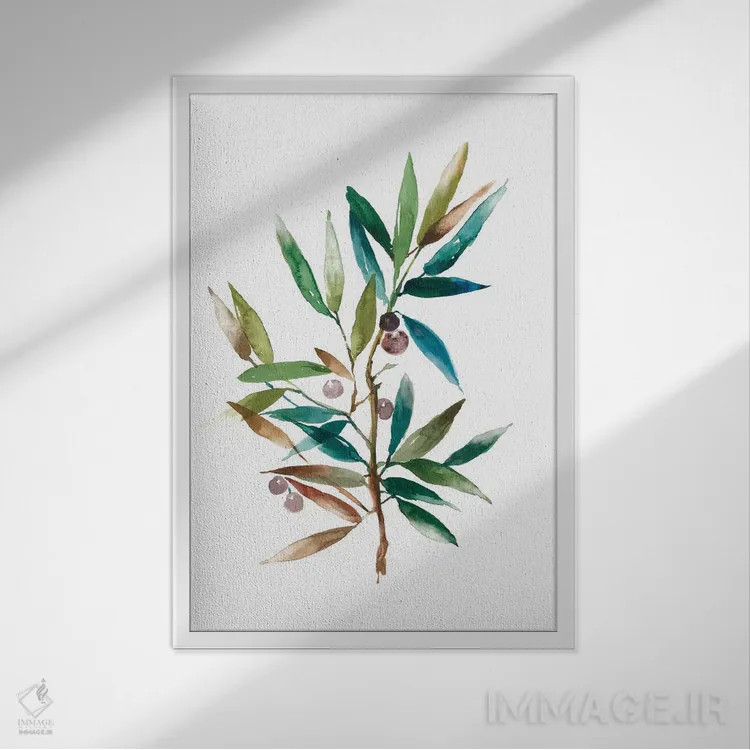 تابلو شاخه زیتون II اثر آسیا جنسن - نمای قابدار سفید