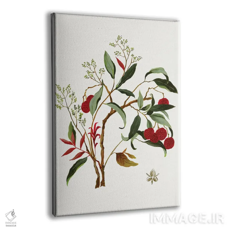 تابلو بوتانا جدید II اثر آسیا جنسن - نمای پرسپکتیو محصول