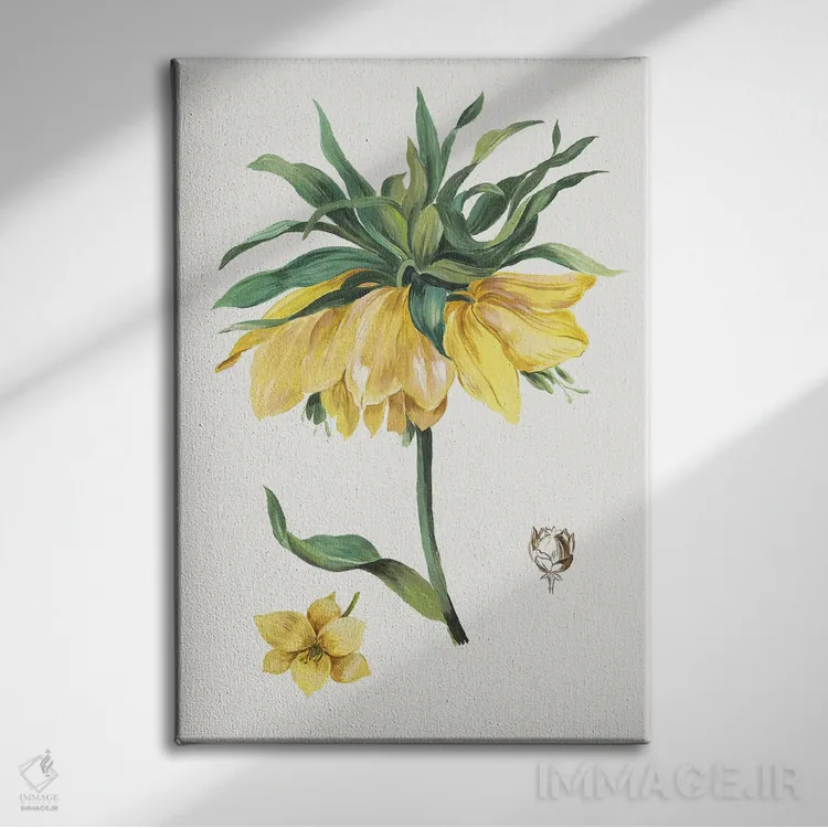 تابلو بوتانا جدید I اثر آسیا جنسن - نمای روبهرو روی دیوار