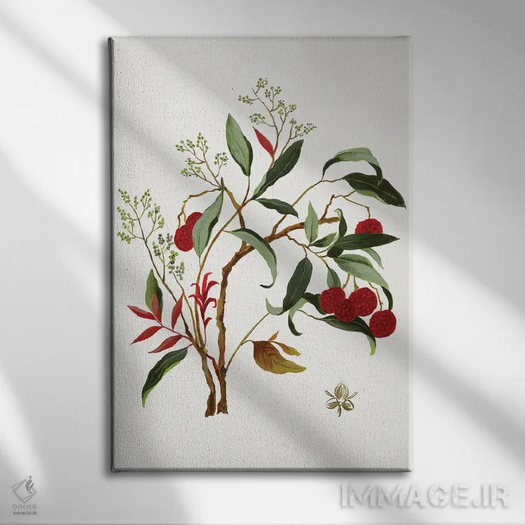 تابلو بوتانا جدید II اثر آسیا جنسن - نمای روبهرو روی دیوار