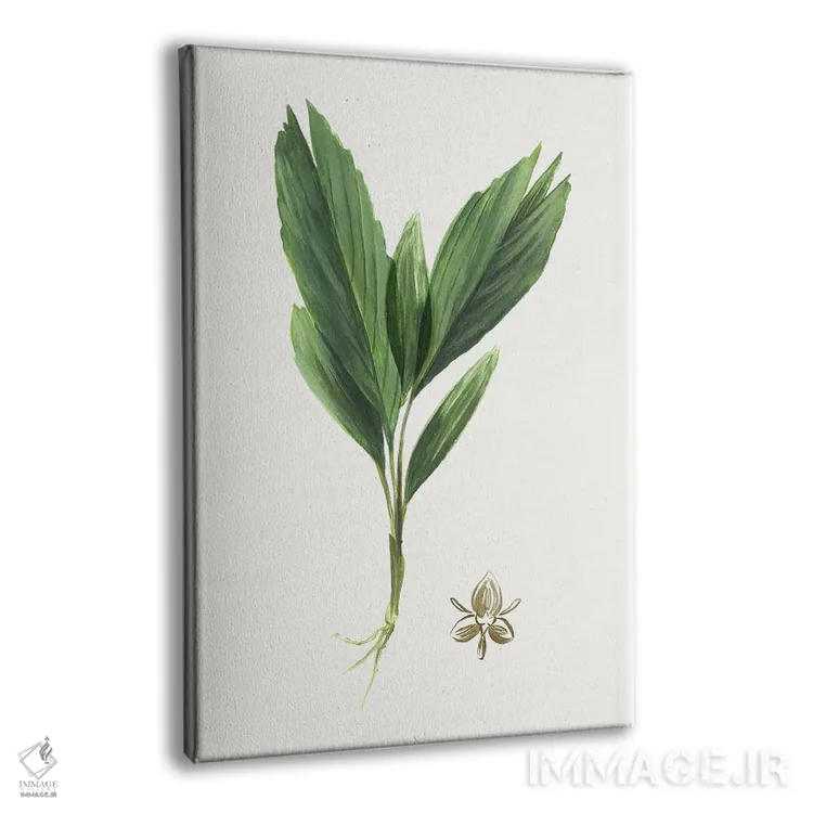 تابلو بوتانا جدید IV اثر آسیا جنسن - نمای پرسپکتیو محصول