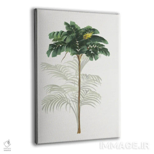 تابلو استوایی II اثر آسیا جنسن - نمای پرسپکتیو محصول