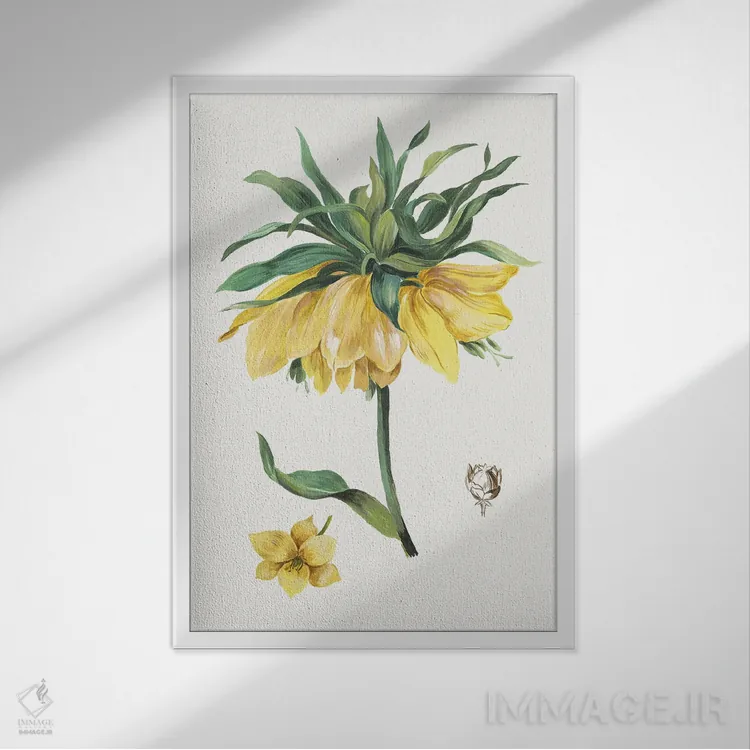 تابلو بوتانا جدید I اثر آسیا جنسن - نمای قابدار سفید