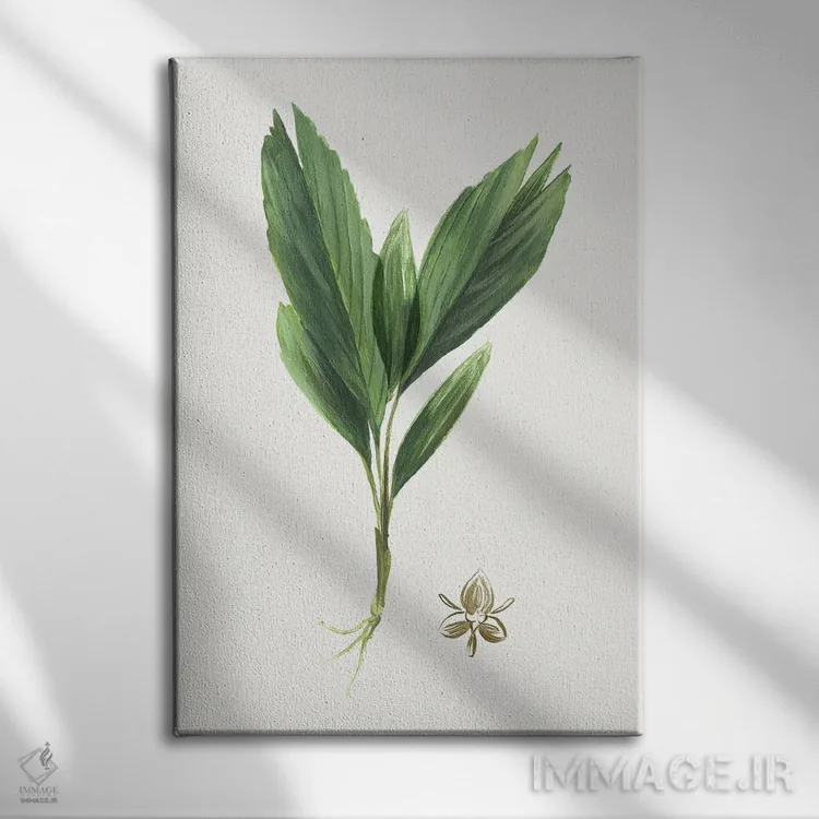 تابلو بوتانا جدید IV اثر آسیا جنسن - نمای روبهرو روی دیوار