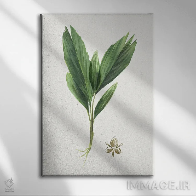 تابلو بوتانا جدید IV اثر آسیا جنسن - نمای روبهرو روی دیوار