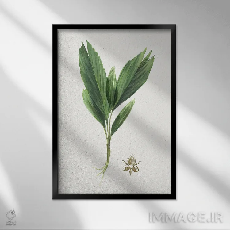 تابلو بوتانا جدید IV اثر آسیا جنسن - نمای قابدار مشکی