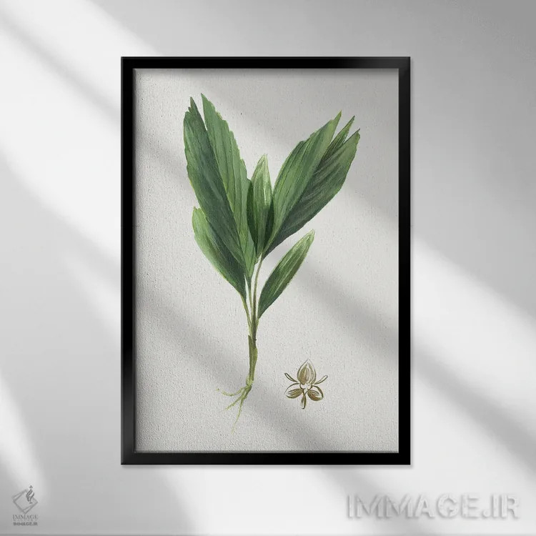 تابلو بوتانا جدید IV اثر آسیا جنسن - نمای قابدار مشکی