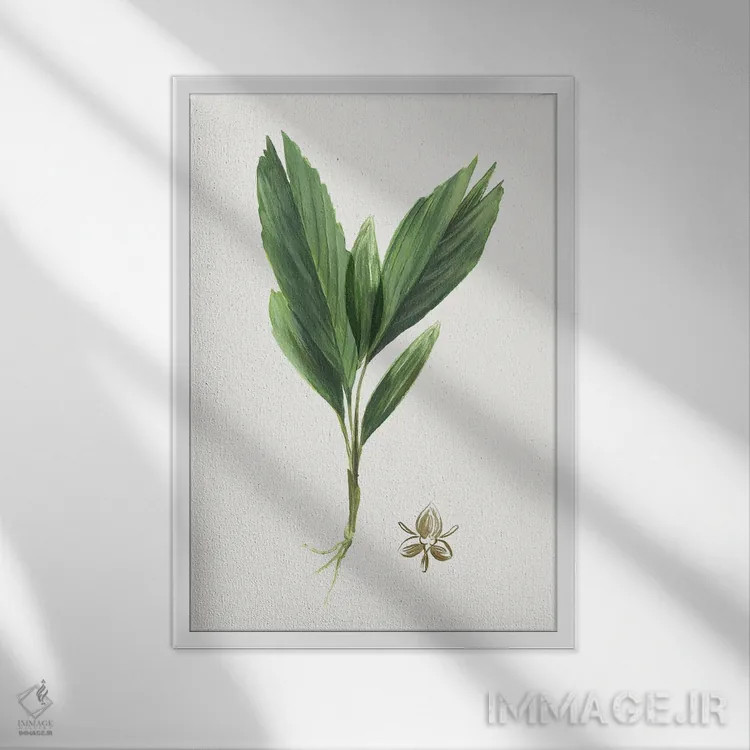 تابلو بوتانا جدید IV اثر آسیا جنسن - نمای قابدار سفید