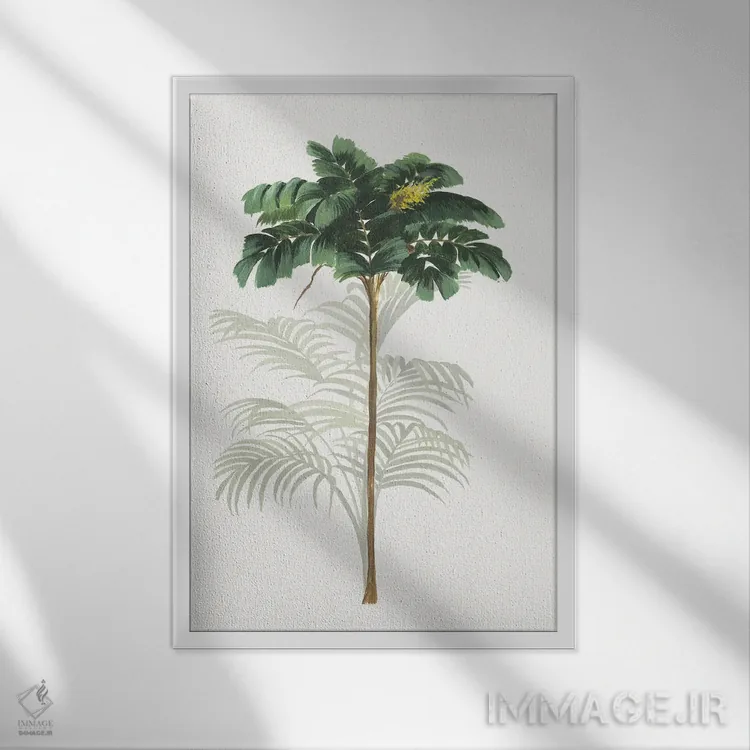 تابلو استوایی II اثر آسیا جنسن - نمای قابدار سفید