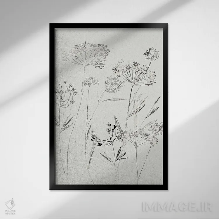 تابلو ظریف سفید II اثر آسیا جنسن - نمای قابدار مشکی