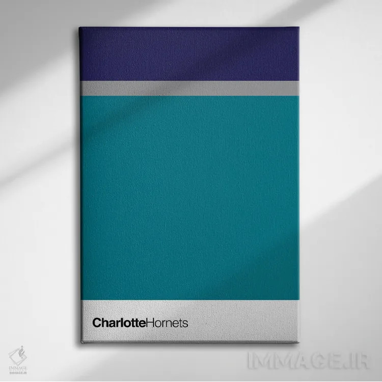 تابلو بسکتبال شارلوت هورنتس اثر آویسیکس - نمای روبهرو روی دیوار