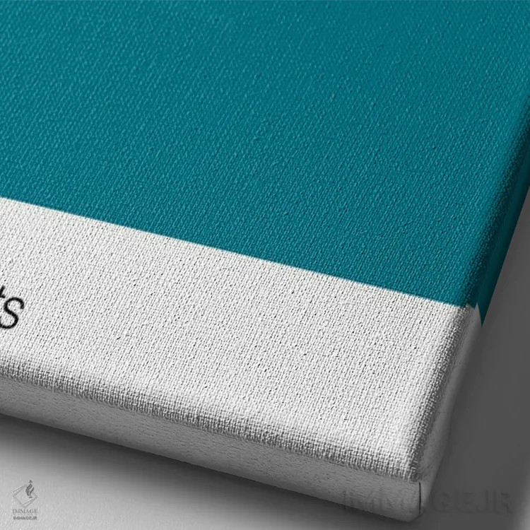 تابلو بسکتبال شارلوت هورنتس اثر آویسیکس - نمای نزدیک بافت بوم