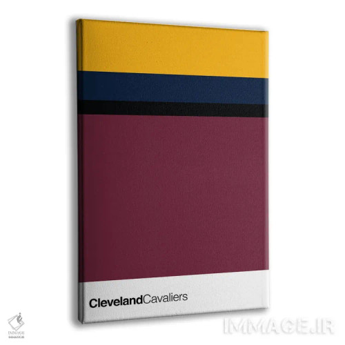 تابلو بسکتبال کلیولند کاوالیرز اثر آویسیکس - نمای پرسپکتیو محصول